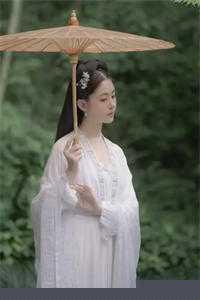 《有位佳人[古穿今]》（精校版全本by番外完）作者：廿乱