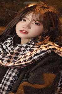 《清穿之贵妃佟佳氏》作者：白开水灯