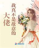 大佬我真不是故意的