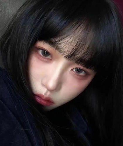 《攀高枝》作者:白鹭成双