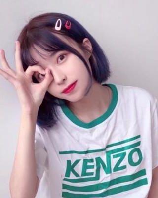 小青梅又有什么错.不秃的猫